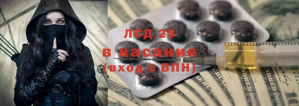 трава Аркадак