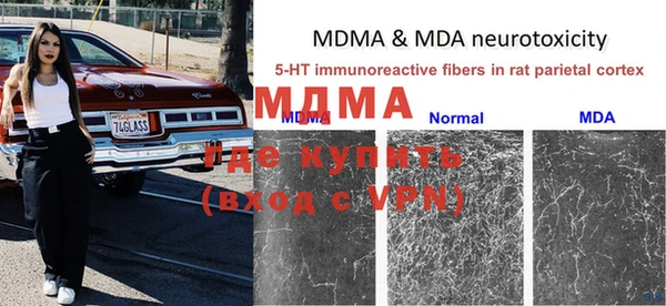 трава Аркадак