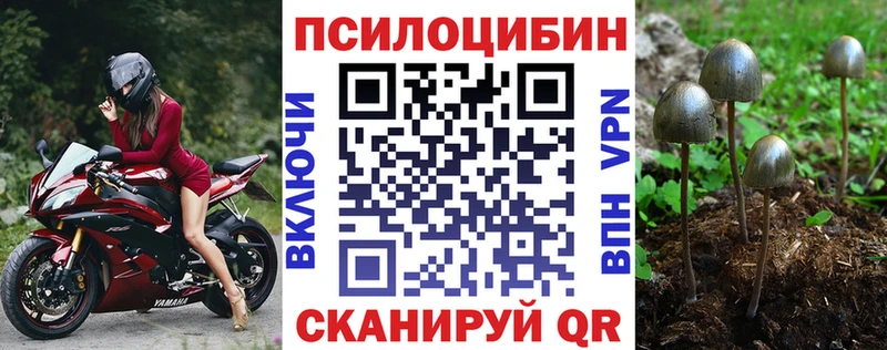 где продают наркотики  Спасск  Псилоцибиновые грибы Psilocybine cubensis 